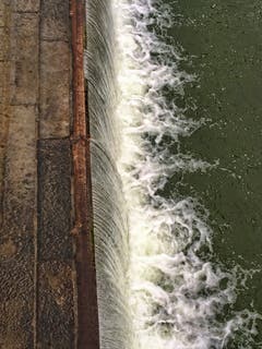An der Frutzmündung. (Bild: Toni Sieber)