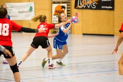 WeGames Weinfelden: Impressionen vom Handballspiel BSV Weinfelden (blau) - SC Frauenfeld (rot) (Bilder: Donato Caspari)