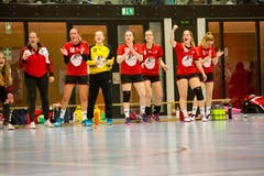 WeGames Weinfelden: Impressionen vom Handballspiel BSV Weinfelden (blau) - SC Frauenfeld (rot) (Bilder: Donato Caspari)