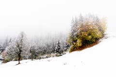 In die herbstlichen Farben mischt sich Weiss. (Bild: Anthony Anex/Keystone (Grindelwald, 28. Oktober 2018))