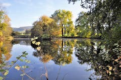 Der Hasenbergweiher in Waldkirch. (Bild: Irene Weibel)