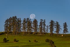 Mond über Lutzenberg. (Bild: Luciano Pau)