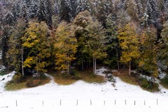Frisch verschneite Landschaft bei Burglauenen. (Bild: Anthony Anex/Keystone (28. Oktober 2018))