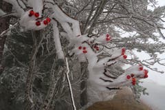 Erster Schnee auf dem St. Anton. (Bild: Irene Weibel)