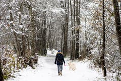 Eine Person und ein Hund spazieren im verschneiten Wald bei Grindelwald. (Bild: Anthony Anex/Keystone (28. Oktober 2018))
