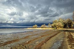 Bise am Bodensee. (Bild: Toni Sieber)