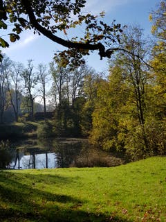 Herbstliche Stimmung an den St. Galler Weihern. (Bild: Reto Schlegel)