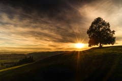 Sonnenuntergang in Hohentannen. (Bild: Daniel Bisang)