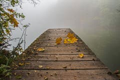 Nebliger Oktobermorgen auf Drei Weieren. (Bild: Franziska Hörler)