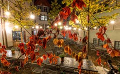 Farbenpracht in einem Innenhof in der Stadt Zug. (Bild: Daniel Hegglin (Zug, 27. Oktober 2018))