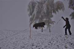 Der französische Wasserhund «Cooper» freut sich über den ersten Schnee. Hier beim Sprungtraining mit seiner Besitzerin Elo im Napfbergland. (Bild: Alfred Herzog (Luthern, 28. Oktober 2018))