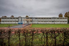 Exakt 112 Container wurden im Höfli zu einem Schulhaus zusammengefügt. (Bild: Pius Amrein (Ebikon, 29. Oktober 2018))