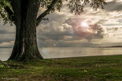 Frühmorgens am Bodensee in Arbon. (Bild: Regina Rosin)