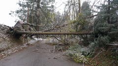 Versperrte Strasse in Hemberg. (Bild: BRK-News)