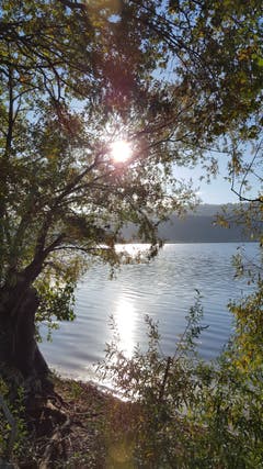 Herbstliche Idylle am Baldeggersee. (Bild: Willy Birrer, 24. Oktober 2018)