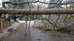Versperrte Strasse in Hemberg. (Bild: BRK-News)