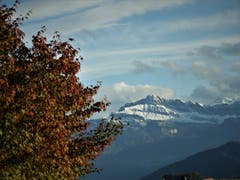 "Herbstliche Vor-Winterstimmung"; so könnte die Bezeichnung für diese Aufnahme sein ! Aufgenommen in Meggen. (Bild: Margrith Imhof-Röthlin, 31. Oktober 2018)