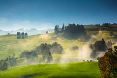 Herbstliche Nebelschleier in Speicher. (Bild: Hans-Jörg Nüesch)