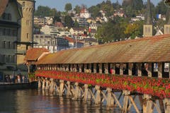 Und es blüht noch immer wunderbar. Ein Herbsttag in Luzern, sonnig und klar. (Bild: Edi Ulmi, 4. Oktober 2018)