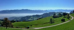 Blick ins dunstige Rheintal von Schachen aus. (Bild: Toni Sieber)