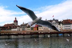 Flugwetter in Luzern. (Bild: Walter Buholzer (7. Oktober 2018))