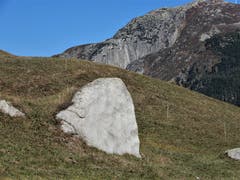 Auf der Wanderung von Andermatt nach Hospental liess sich LZ-Leserin Margrith Imhof-Röthlin ihre gute Laune von diesem zornigen Blick nicht nehmen. (Bild: 7. Oktober 2018)