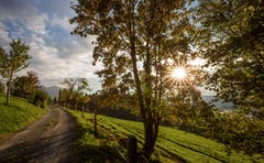 Auf dem Zugerberg lässt sich der Herbst blicken. (Bild: Daniel Hegglin (6. Oktober 2018))