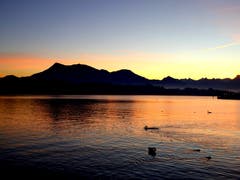 Wenn der Tag über der Rigi erwacht. (Bild: Walter Buholzer (Luzern, 7. Oktober 2018))