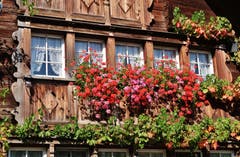 Ein Fensterschmuck in Mult, Gossau. (Bild: Franz Gerhard)