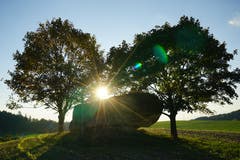 Sonnenuntergang beim Findling Honigstein. (Bild: Isidor Rösch (Roggliswil, 7. Oktober 2018))