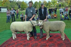 Die Mister- und Missvorstellung bei den Schafen mit Thomas Niederberger (links) und Edi Flühler. (Bild: Paul Küchler (Oberdorf, 7. Oktober 2018))