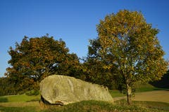 Es 'herbstelet' beim Findling Honigstein. Bild: Isidor Rösch (Roggliswil, 7. Oktober 2018))
