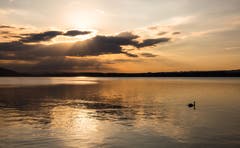 Abendstimmung am Zugersee. (Bild: Daniel Hegglin (Zug, 7. Oktober 2018))