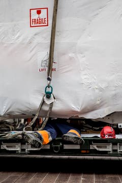 Das Vorhaben verlangt den Arbeitern vollen Körpereinsatz ab. (Bild: Mareycke Frehner)