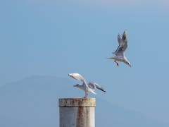 Flugverkehr wie in Kloten. (Bild: Hubert Zurbuchen (Luzern, 9. Oktober 2018))