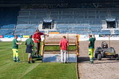 Die Arbeiter bei der (Garten-)Arbeit. (Bild: Eveline Beerkircher)