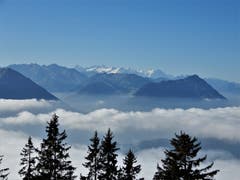 Hoch über der Nebelgrenze auf der Rigi machte heute das Wandern doppelt Spass, so dass man bei dieser herrlichen Fernsicht jeden allfälligen Kummer und auch die Sorgen sehr schnell vergass. (Bild: Margrith Imhof-Röthlin (Rigi-Kaltbad, 9. Oktober 2018))