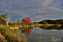 Traumhafte Herbstfarben im Abendlicht. (Bild: Alfred Herzog (Ostergauermoos, 8. Oktober 2018))