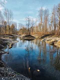 Neugeschaffene Landschaft am renaturierten Abschnitt des Werdenberger Binnenkanals.