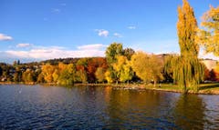Herbststimmung bei der Wiese Beim Verkehrshaus. (Bild: Walter Buholzer (Luzern, 31. Oktober 2018))