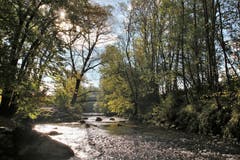 Die Sonnen schimmert durch die herbstlichen Blätter. (Bild: Irene Wanner (Ettiswil, 1. November 2018))
