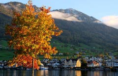 Herbstliche Abendstimmung beim Aawasseregg in Buochs. (Bild: Sepp Bernasconi, 31. Oktober 2018))