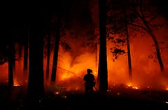 Ein Feuerwehrmann im Kampf gegen die Waldbrände. (Bild: John Locher, Maglia, 9. November 2018))