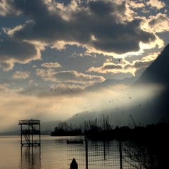Das Strandbad Buochs im Herbst: Ein Paradies für die Vögel. (Bild: Sepp Bernasconi (Ennetbürgen, 8. November 2018))