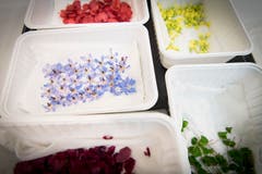 Aus Bangkok kam Gaggan mit vier Koffern voller Gewürzen.