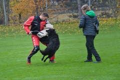 Weinfelden TG , 10.11.2018 / Schweizer Hundemeisterschaften in Weinfelden