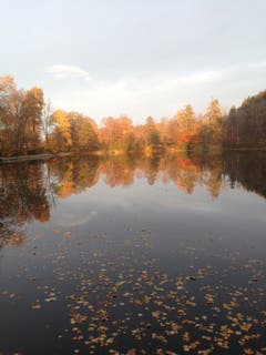 Herbstzauber bei den Drei Weihern. (Bild: Sibylle Reinert)