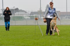 Weinfelden TG , 10.11.2018 / Schweizer Hundemeisterschaften in Weinfelden