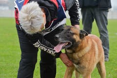 Weinfelden TG , 10.11.2018 / Schweizer Hundemeisterschaften in Weinfelden
