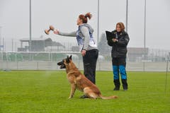 Weinfelden TG , 10.11.2018 / Schweizer Hundemeisterschaften in Weinfelden